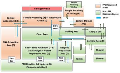 Insights from establishing a high throughput viral diagnostic laboratory for SARS-CoV-2 RT-PCR testing facility: challenges and experiences